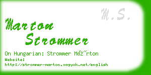 marton strommer business card